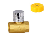 Brass 101 magnetic locking valve