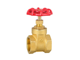 Brass gate valve (medium size)