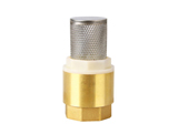 Brass bottom valve with filter screen