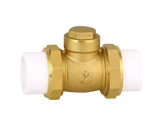 PP-R Brass Check Valve