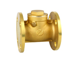 Brass Flanged Check Valve