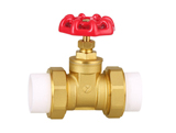 PP-R double head gate valve