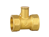 Brass thermometric through valve